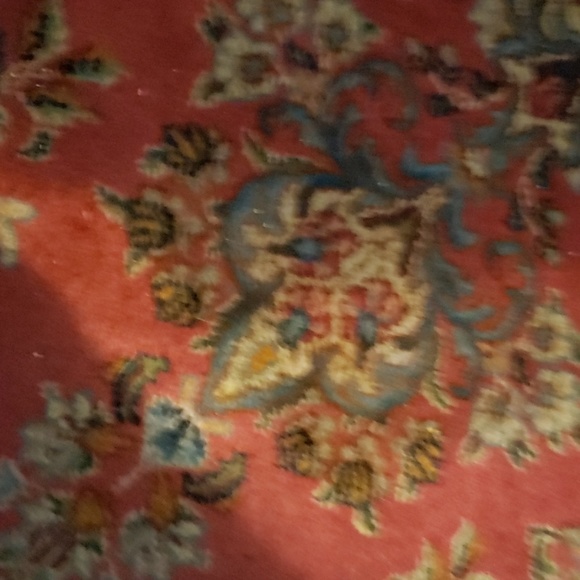 Meet your Posher, Paulette - Picture 1 of 1